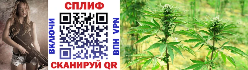 Каннабис White Widow  Большой Камень 